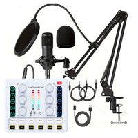 Ensemble de microphones à condensateur M8 BM800 avec support de carte son en direct transfrontalier Enregistrement Singing Gear en noir blanc Modèle