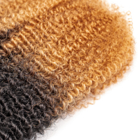 Extensions de Cheveux Humains 100% Naturels Afro Kinky en Vrac Couleur Ombrée pour Tresses et Crochets Dreadlocks