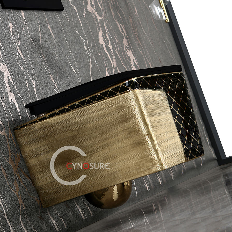 แปรงสีทอง P2สีดำและสีทอง