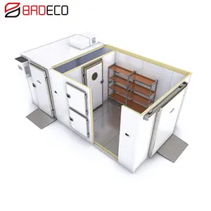 Factory Made Container Cold Room Price For Chicken Compressor Freezer Second Hand Cold Room Panels