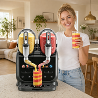 Machine à Granita Double 2,6 L*2, Machine à Boissons Glacées, Machine à Crème Glacée, Machine Commerciale à Boissons Glacées 8 en 1