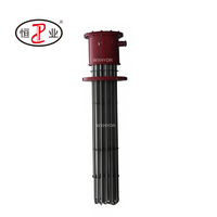 Chauffe-eau immergé antidéflagrant sur mesure 80 kW avec gaine en SS316L pour réservoir d'huile, cuve de stockage de gaz et chauffage de process pétrochimiques