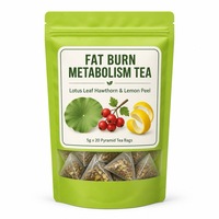Thé Minceur Herbal Brûle-Graisse 5g x 20 Sachets Pyramidaux – Soutien Métabolique & Amincissant – Durée de Conservation 18 Mois