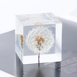 Diente de león de flores secas para manualidades, <span class=keywords><strong>2022</strong></span>, venta al por mayor, 4 cm - Product Image 5