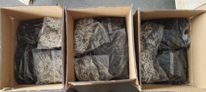 Adaptador de escudo de conector MC 4 Módulo hembra Jack RJ45 CAT6 Conector impermeable 1P Pin para <span class=keywords><strong>aplicación</strong></span> de energía - Product Image 6