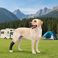 Genouillères et protections pour chiens : Attelle de soutien pour la protection et la récupération post-chirurgicale – Fournitures pour animaux de compagnie