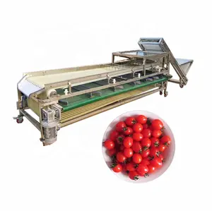 Machine de classement de dattes de prune de qualité supérieure Classificateur de noix de pécan Olives Jujube Grader