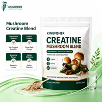 Créatine Monohydrate en Vrac avec Complexe de Champignons en Poudre 300g 30 Doses Complément Alimentaire pour le Soutien à l'Entraînement et l'Endurance OEM