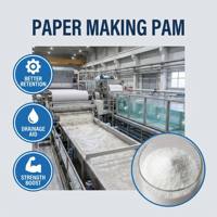 Poliacrilamida (PAM) en Polvo de Venta Caliente para la Fabricación de Papel, Agente de Retención y Agente de Encolado Textil