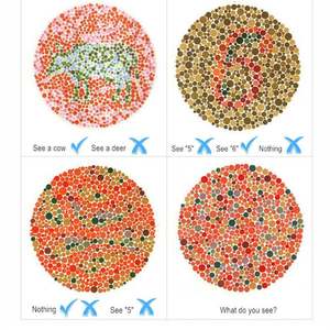 Gafas Correctoras de Daltonismo para Hombre y Mujer, con Logotipo Personalizado, al por Mayor, Montura TR90, Gafas para Daltonismo Rojo-Verde - Product Image 3