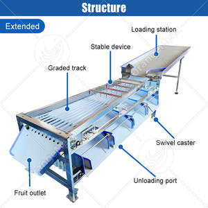 Machine de tri et de calibrage ORME pour l'ail, les tomates, les kiwis et les légumes, avec fonction de cire et de calibrage – Prix - Product Image 2