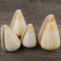 Coquillages naturels en gros, tailles variées, écologiques |   Coquillages de crabe ermite pour décorations d'aquarium et souvenirs de vacances, artisanat DIY