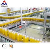 10000BPH 500ML XINMAO Complete Mango Citroen Fruit Sap Afvulmachine