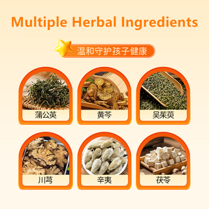 1箱入りカスタマイズ可能な漢方薬草膏薬（子供のアデノイド不快感用）-外用-子供に優しいソリューション - Product Image 2