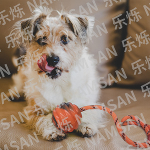 Jouet de tirage pour chien NAMSAN, en caoutchouc, en forme de citrouille, pour l'entraînement et le jeu interactif des chiens - Product Image 4