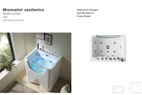 Baignoire professionnelle pour animaux de compagnie avec douchette réglable, surface antidérapante et station de lavage confortable pour salon de toilettage
