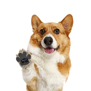 <span class=keywords><strong>Coussinets</strong></span> d'extérieur en silicone pour animaux de compagnie pour chats et chiens semelle intérieure imperméable antidérapante anti-rayures chaussures invisibles peuvent être personnalisées - Product Image 2