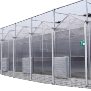 Factory Price shed net greenhouse retractable roof systems agrotime greenhouse vegetable green house