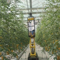 Serre agricole en verre commercial avec système hydroponique pour tomates, projet clé en main