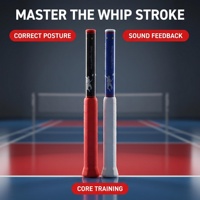 Entraîneur de badminton réglable pour les smashs et les coups clairs, entraînement de puissance de frappe à difficulté variable avec retour sonore