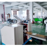 Nouvelle machine d'emballage et de conditionnement de type personnalisé à haute efficacité pour pailles en PLA, PP, PHA, papier et plastique, avec certification CE