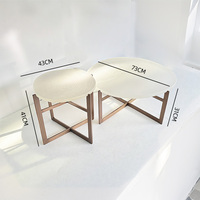 Table basse géométrique personnalisée moderne et élégante, en acier inoxydable haut de gamme et acrylique, mobilier multifonctionnel