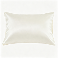 Taie d'oreiller en satin couleur personnalisée avec fermeture à rabat en polyester pour hôtel, vente au détail, OEM, ODM, vente en gros