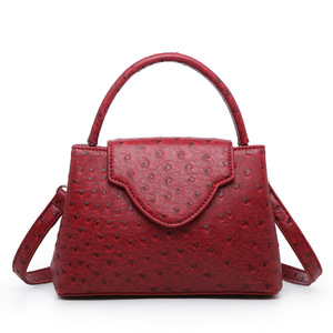 럭셔리 여성 타조 피부 핸드백 파이썬 패턴 토트 백 패션 여성 클래식 타조 가죽 클러치 백 레이디 - Product Image 4