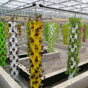 Sistemi di coltivazione idroponica verticale torre giardino sistema idroponico interno impianto idroponico verticale dell'azienda agricola