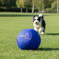 Housse de protection anti-éclatement en PVC résistant aux déchirures pour balles de dressage de grands chiens et chevaux – Manchon robuste pour ballon de yoga pour l'entraînement des animaux de compagnie