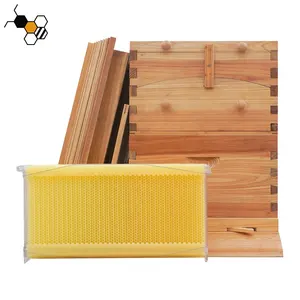 Small Auto Self Flowing Bee Hive Automatic Honey Harvesting Australia Free Flows Hive Starter Kit For Honey Bees