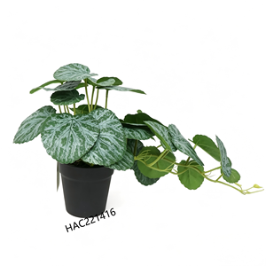 Follaje Artificial Colgante Realista en <span class=keywords><strong>Maceta</strong></span> Negra, Planta Artificial <span class=keywords><strong>de</strong></span> <span class=keywords><strong>Oreja</strong></span> <span class=keywords><strong>de</strong></span> <span class=keywords><strong>Elefante</strong></span> en <span class=keywords><strong>Maceta</strong></span> <span class=keywords><strong>para</strong></span> Decoración Boho del Hogar - Product Image 1