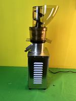 300W/750W/1200W/1500W/2000 Met Professionele Non-Stop 12/24 Werktijden Anti-Verstopping Commerciële Koude Pers Sapcentrifuge Machine