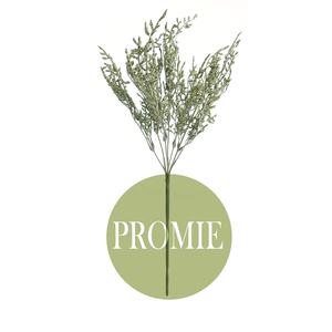 Venta al por mayor de flores prensadas secas, amante de la hierba, Caspia, Limonium seco para arreglos florales y decoración - Product Image 6