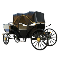 Voitures de tourisme à quatre roues de luxe, calèches à chevaux électriques