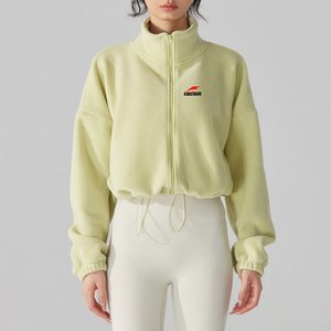 Sweat-shirt à capuche court en polaire moelleux avec logo personnalisé pour la salle de sport et le fitness, sweat-shirt court en polyester, sweat-shirt élégant pour l'entraînement pour femmes - Product Image 6