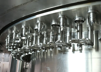 Ligne de remplissage et de bouchage rotative entièrement automatique CE pour sodas CSD, avec sertissage isobare pour bouteilles PET et verre, et étiquetage, pour usine de boissons