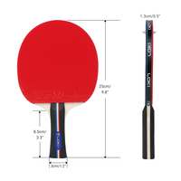 Loki professionnel 2 pièces raquettes 4 balles ensemble de ping-pong ensemble de Tennis de Table Portable avec étui rigide de haute qualité