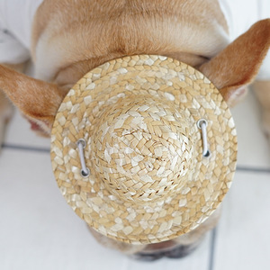 <b>Straw</b> <b>Hat</b> For Pets Adjustable Size Character Style Dog Cat Photo Prop - Product Image 2