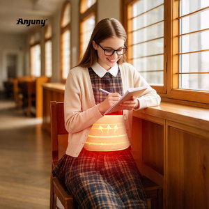 Almohadilla Térmica Anjuny 2 en 1 USB/12V - Calor Ajustable para el Hogar, Viajes y Calidez Personal, Calentador Eléctrico Lavable de Terciopelo Suave - Product Image 6