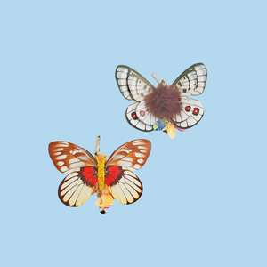 Juguete para Gatos con Forma de Mariposa Realista, Personalizable, de Moda, con Certificación CE, Ecológico, de Poliéster, Interactivo - Product Image 2