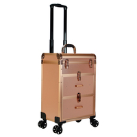 Chariot cosmétique beauté valises maquillage sac de voyage étui noir femmes extérieur roulettes fixes Profession aluminium bagages aluminium