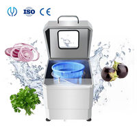 304 Roestvrijstalen Groentesalade Centrifuge Spinner Elektrische Spin Food Fruit Spinazie Sla Groene Groenten Dehydrator