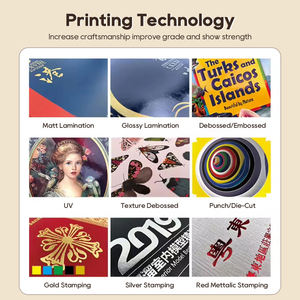 High Quality Colourful Letter Children's Book Service Custom Printing English Learning Education Books Set For Children