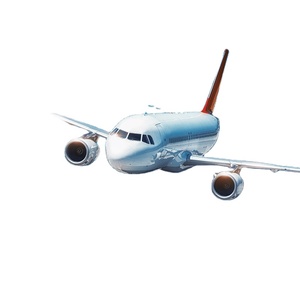 Servizio di Spedizione Aerea Rapida DDP dalla Cina a <span class=keywords><strong>LA</strong></span>, New York, Toronto, Consolidamento Magazzino Amazon, Servizio Espresso Aereo - Product Image 5