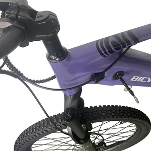 Bicicleta Eléctrica China de 48 Voltios/Bicicleta de Montaña Eléctrica de 27.5 Pulgadas/E-MTB de 1000 Vatios EB010/Bicicleta de Carretera Eléctrica/Bicicleta Eléctrica de Una Velocidad - Product Image 4