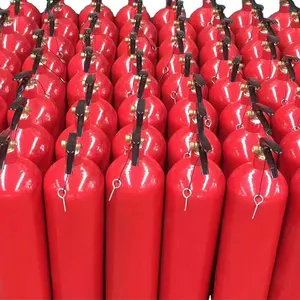 Advanced Fire Suppression 9kg Carbon Dioxide Fire Extinguisher - Class K Rated