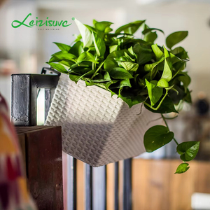 Auto-arrosage de plantes et de légumes, produit de loisir, de bonne qualité, vente en gros, usine chinoise, - Product Image 6