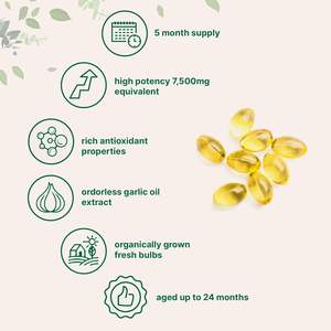 Capsules molles d'ail sans OGM, sans odeur, marque privée OEM, favorisent la santé, soutiennent le système immunitaire, extrait d'ail biologique en capsule - Product Image 5