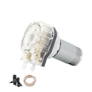 LEFOO 미니어처 <span class=keywords><strong>12V</strong></span> 소형 연동 펌프 490ml/min 실리콘 튜빙 화장품 의료 기기 시럽 에탄올 미니 연동 펌프 - Product Image 1